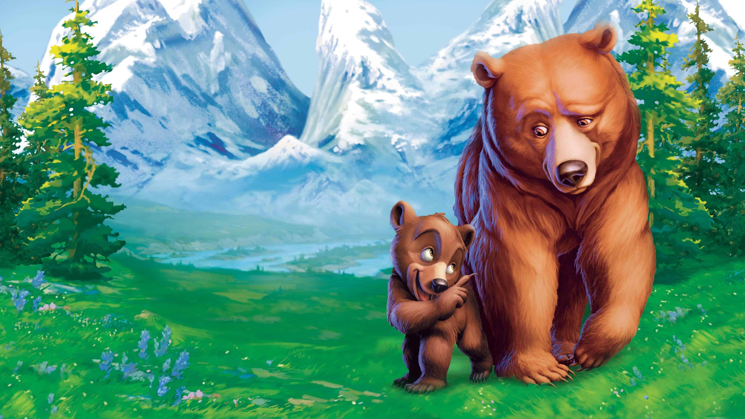 Bear