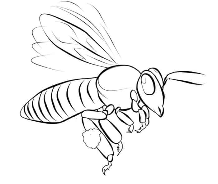 Bee Coloring Pages Printable