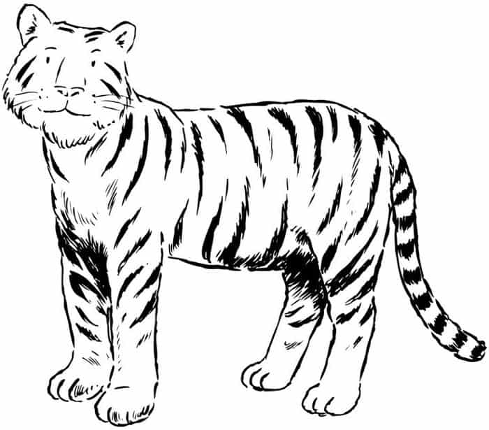 Bengal Tiger Coloring Pages