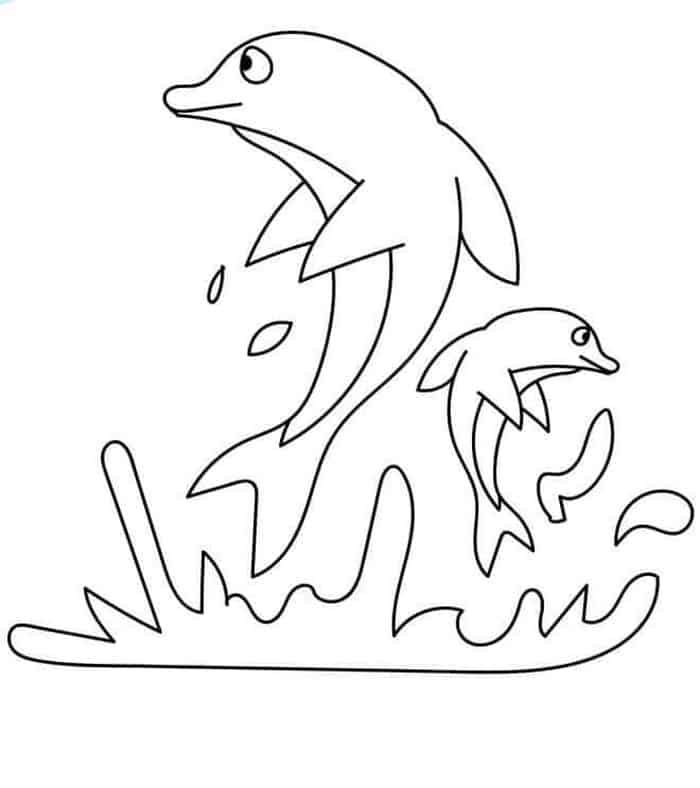Bottlenose Dolphin Coloring Pages