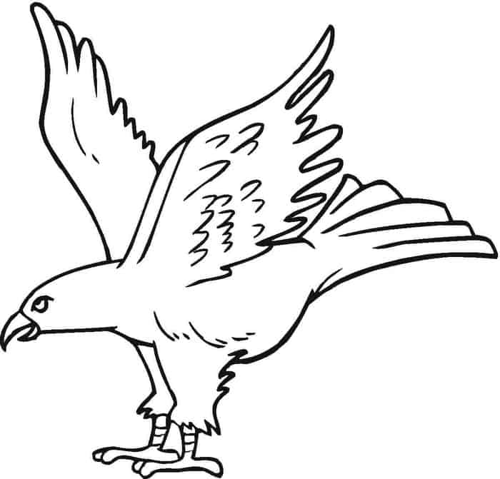 Boys Hard Coloring Pages Eagle
