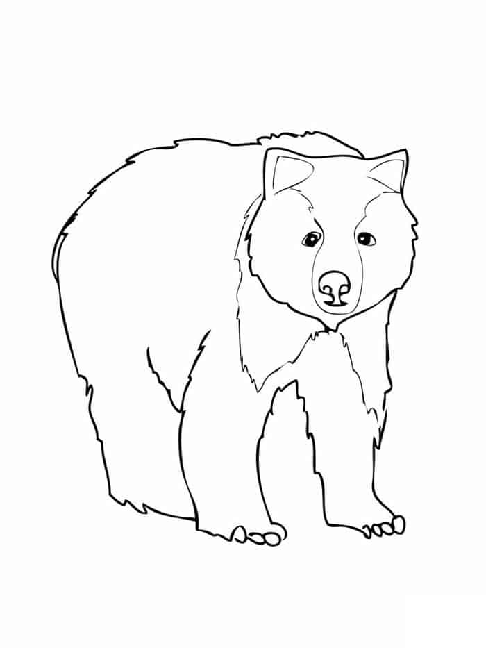 Brown Bear Brown Bear What Do You See Coloring Pages