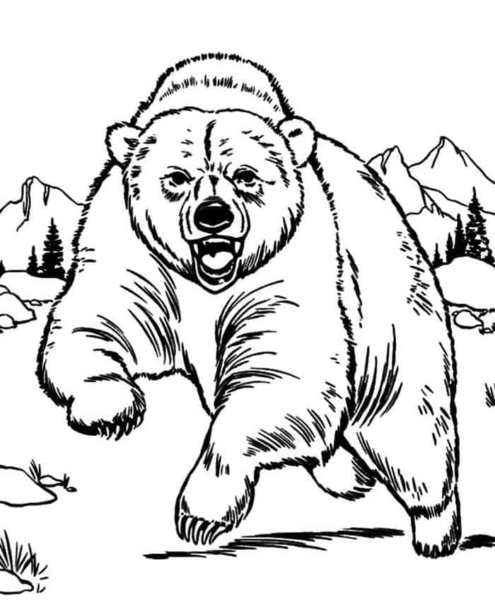 Brown Bear Coloring Pages