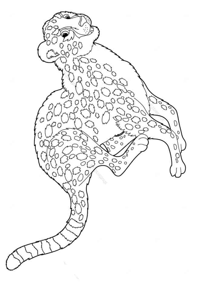 Cheetah Coloring Pages To Print