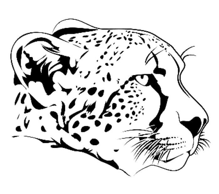 Cheetah Print Coloring Pages