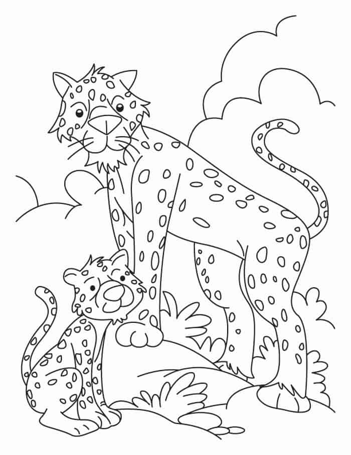 Coloring Pages Cheetah And Babies