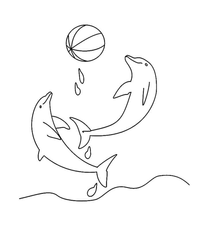 Coloring Pages Dolphin