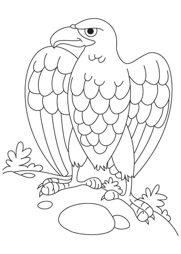 Coloring Pages Eagle