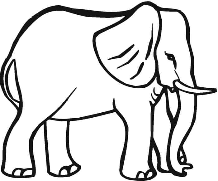 Coloring Pages Elephant
