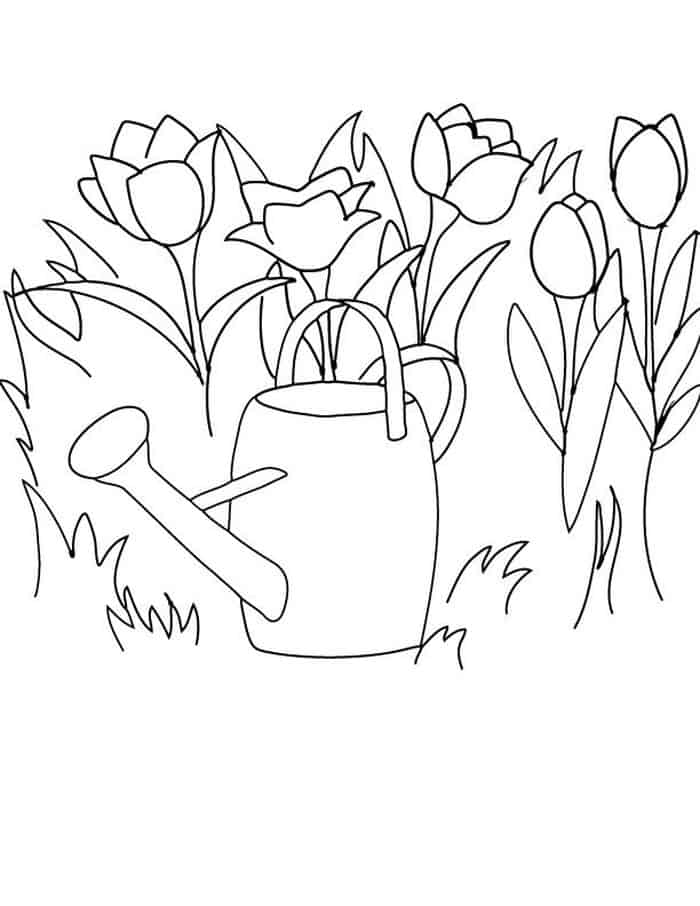 Coloring Pages Flower Tulip