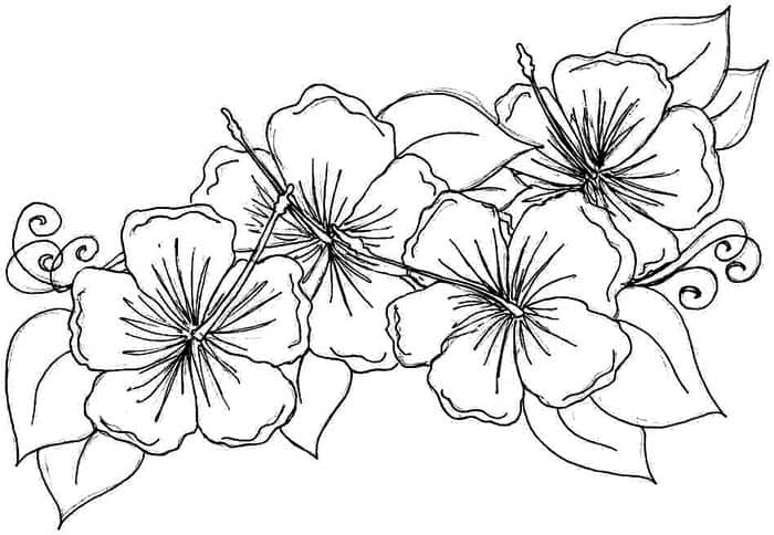 Coloring Pages For Adults Abstract Flowers