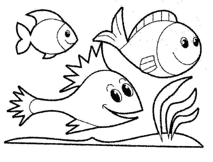Coloring Pages Of Fish