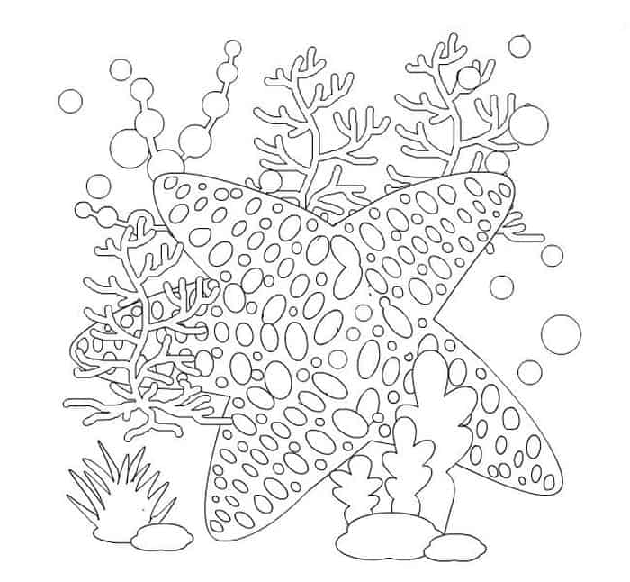 Coloring Pages Of Sea Stars