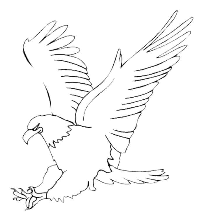 Coloring Pages Of The Bald Eagle
