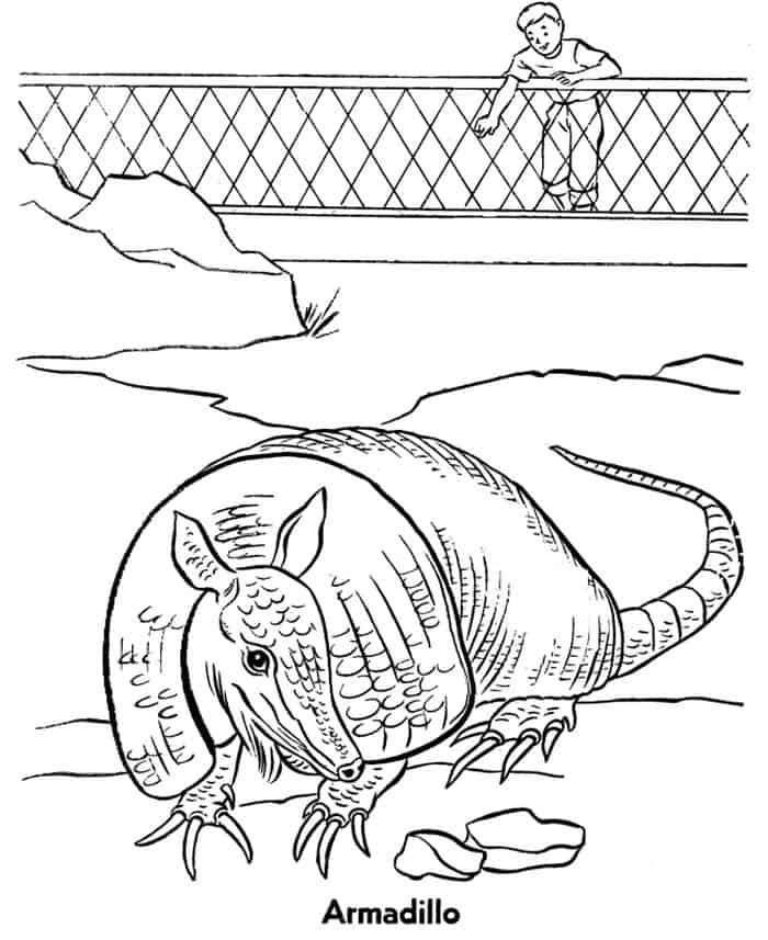 Coloring Pages Of Zoo Animals For Preschool