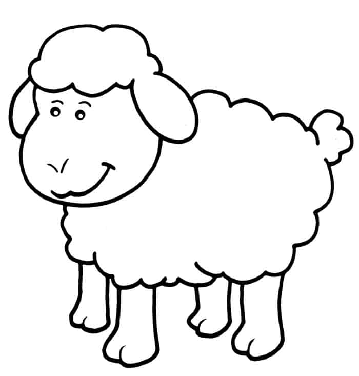 Coloring Pages Sheep