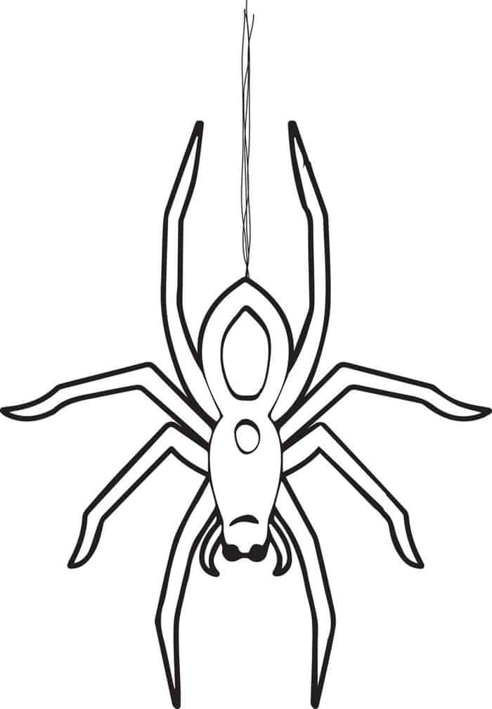 Coloring Pages Spider