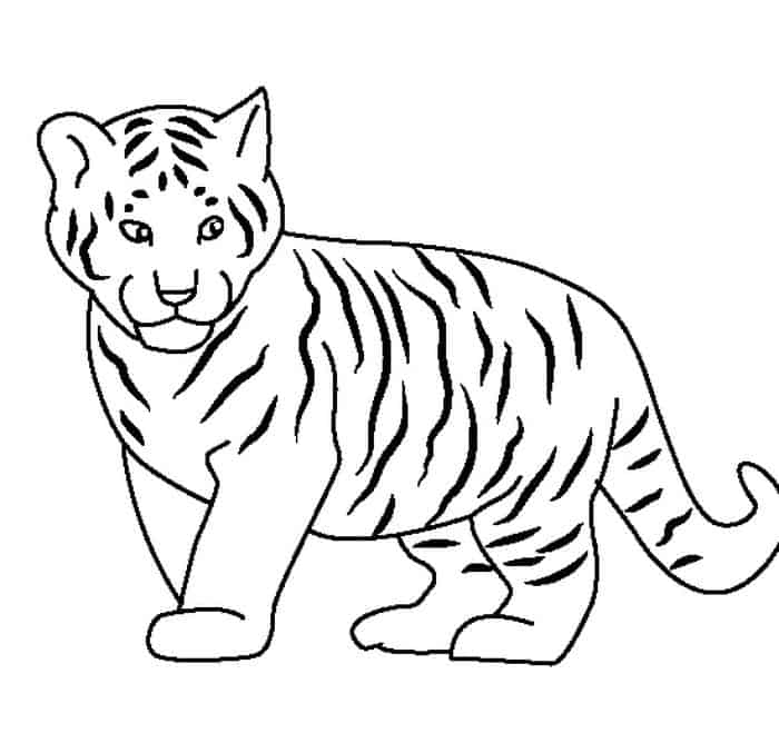 Coloring Pages Tiger