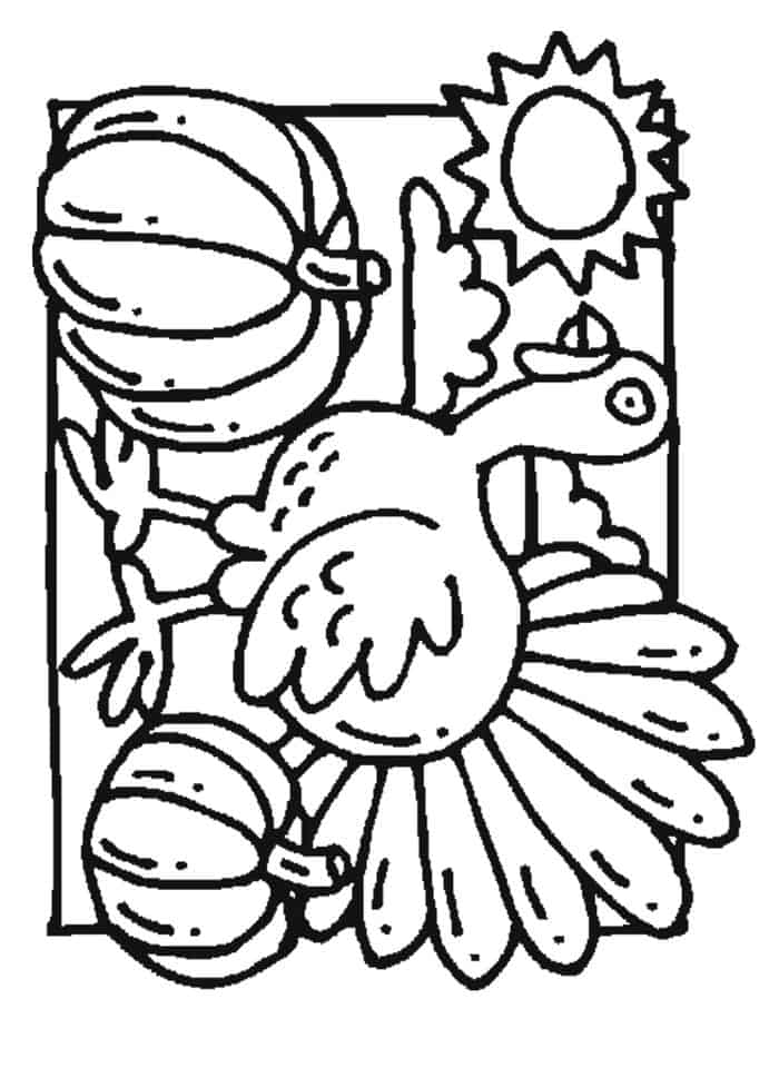 Coloring Pages Turkey Printable