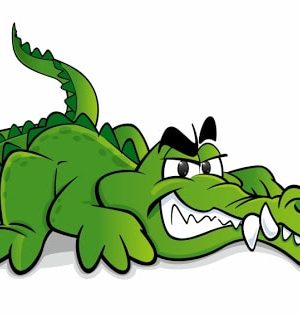 Crocodile