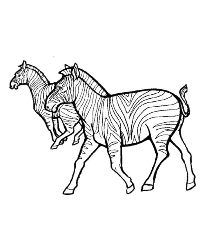 Cute Animal Coloring Pages Lps Zebra