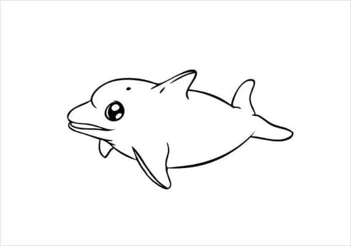 Cute Baby Dolphin Coloring Pages