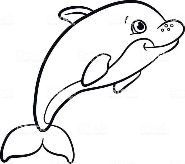 Cute Dolphin Coloring Pages