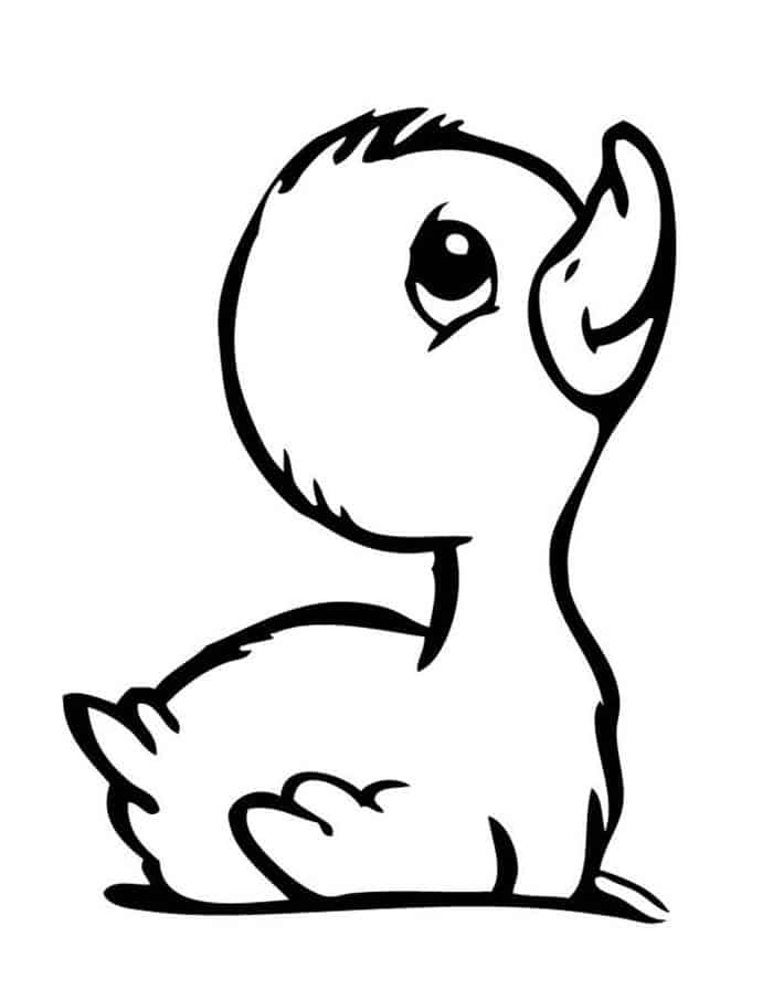 Cute Duck Coloring Pages