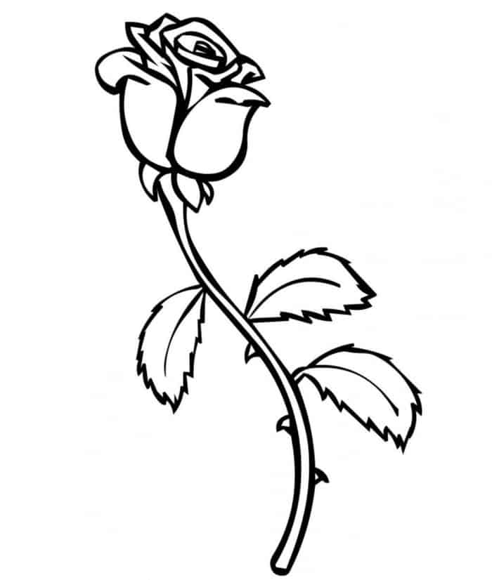 Cute Rose Coloring Pages