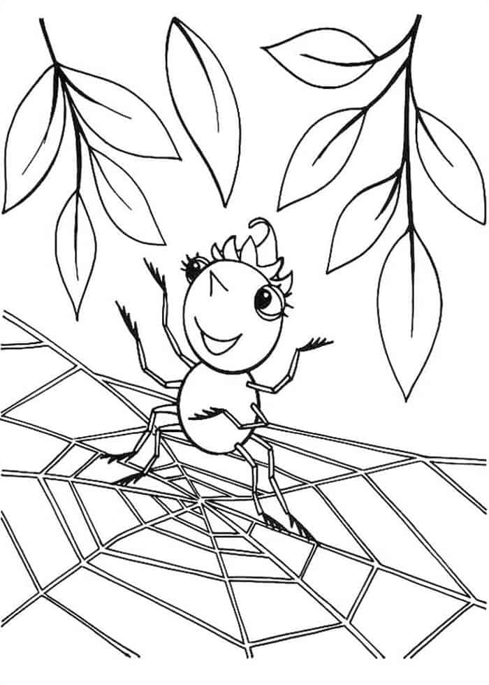 Cute Spider Coloring Pages