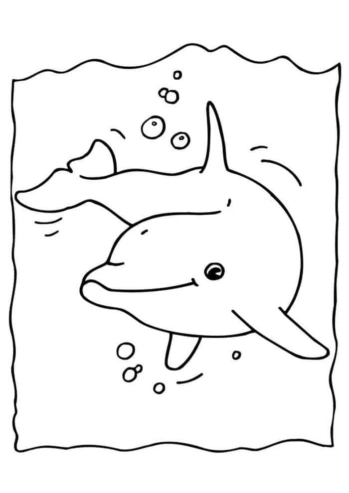 Dolphin Adult Coloring Pages