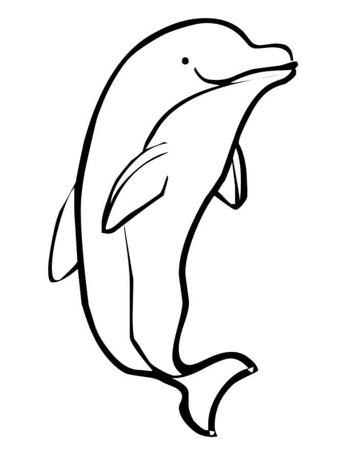 Dolphin Coloring Pages For Kids