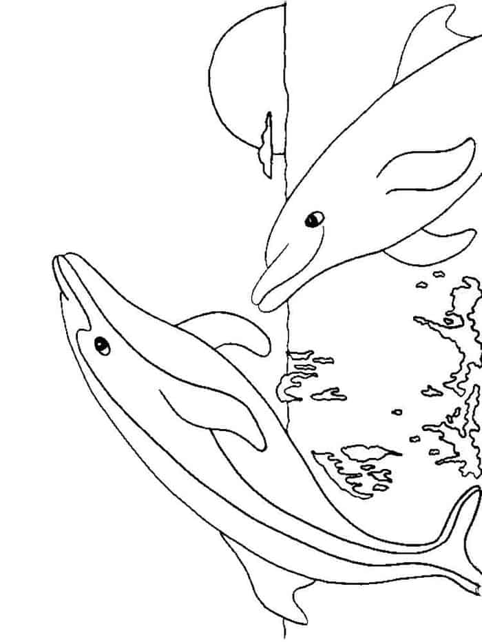 Dolphin Coloring Pages Printable Free