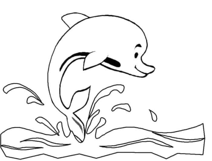 Dolphin Coloring Pages To Print