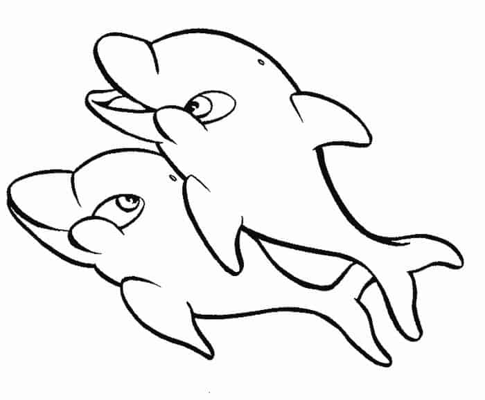 Dolphin Coloring Pages