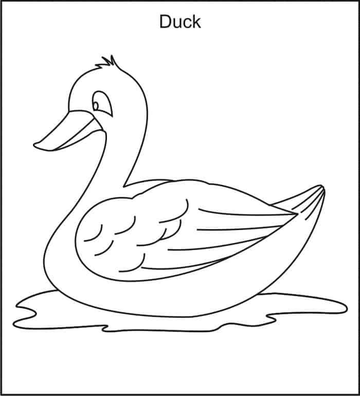 Duck At The Door Coloring Pages