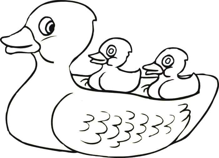 Duck Coloring Pages