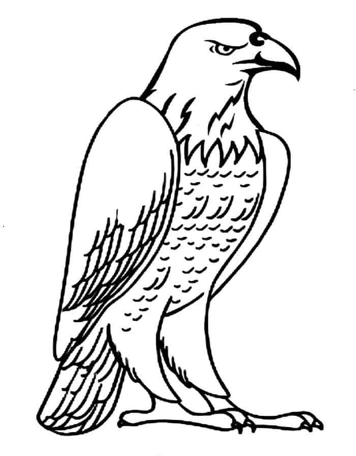 Eagle Coloring Book Pages
