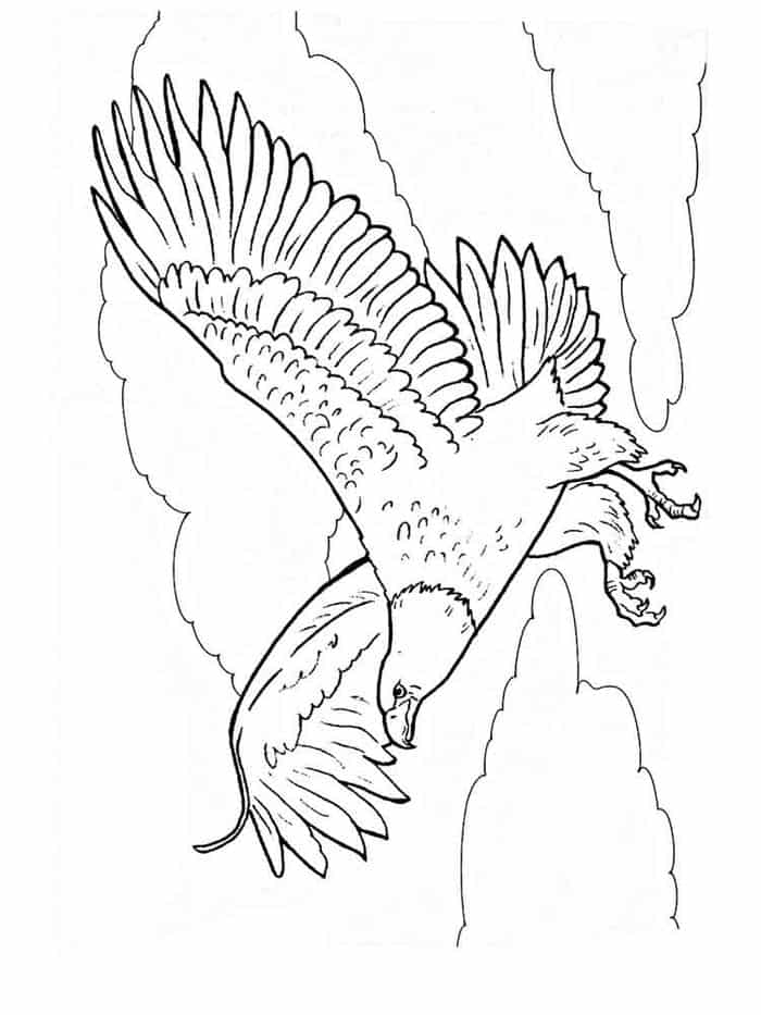 Eagle Coloring Pages For Adults