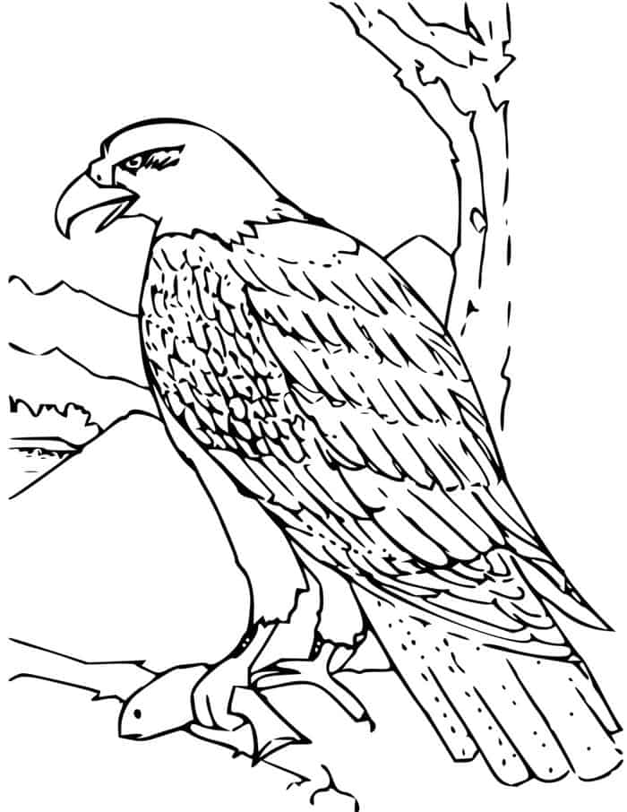 Eagle Coloring Pages Printable