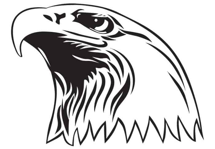 Eagle Coloring Pages