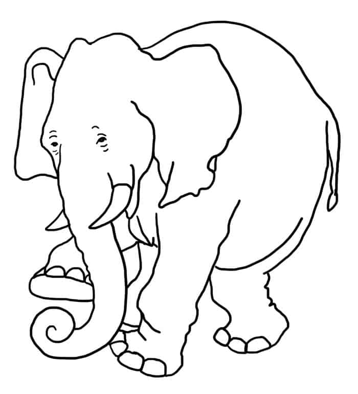 Elephant Coloring Book Pages