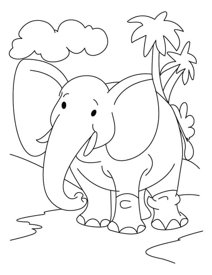 Elephant Coloring Pages