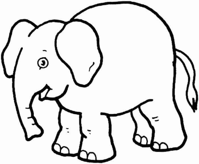 Elephant Printable Coloring Pages