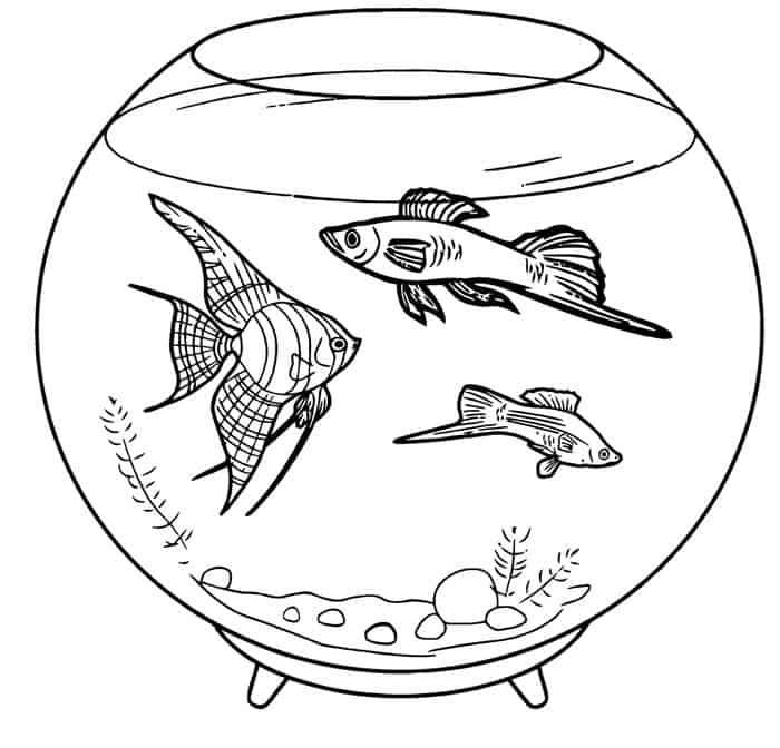 Fish Coloring Pages