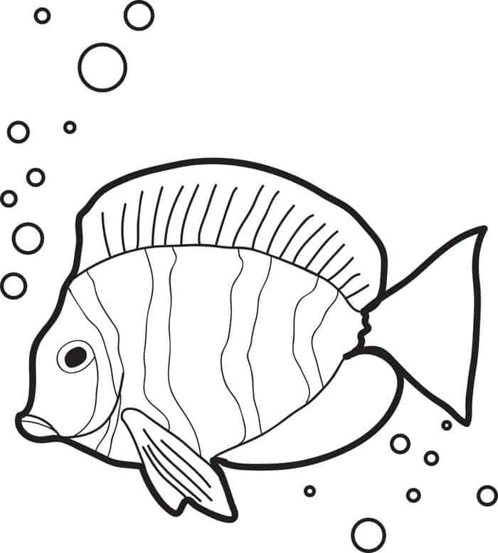 Fish Printable Coloring Pages