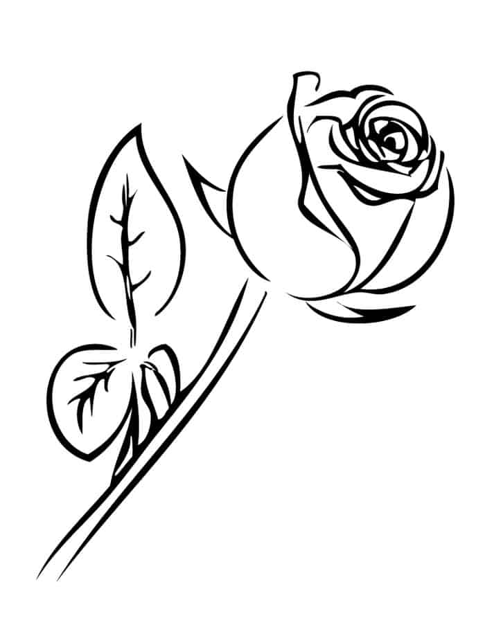 Flower Rose Coloring Pages