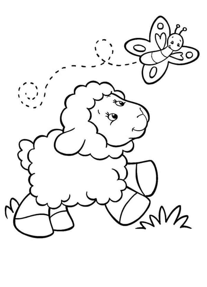 Free Coloring Pages Of Sheep