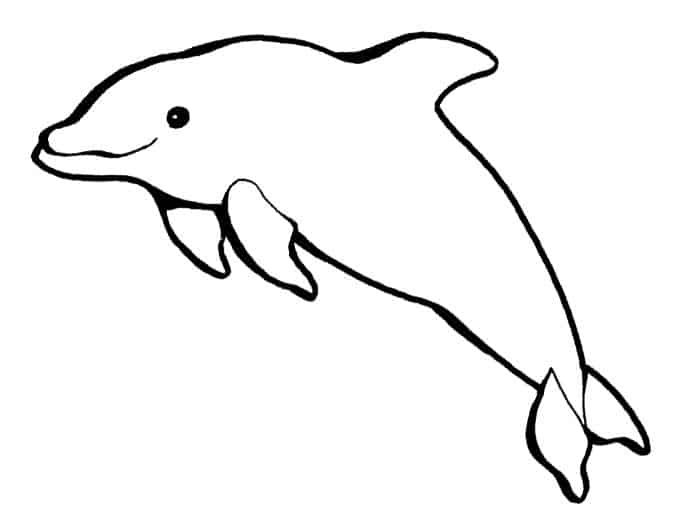 Free Dolphin Coloring Pages