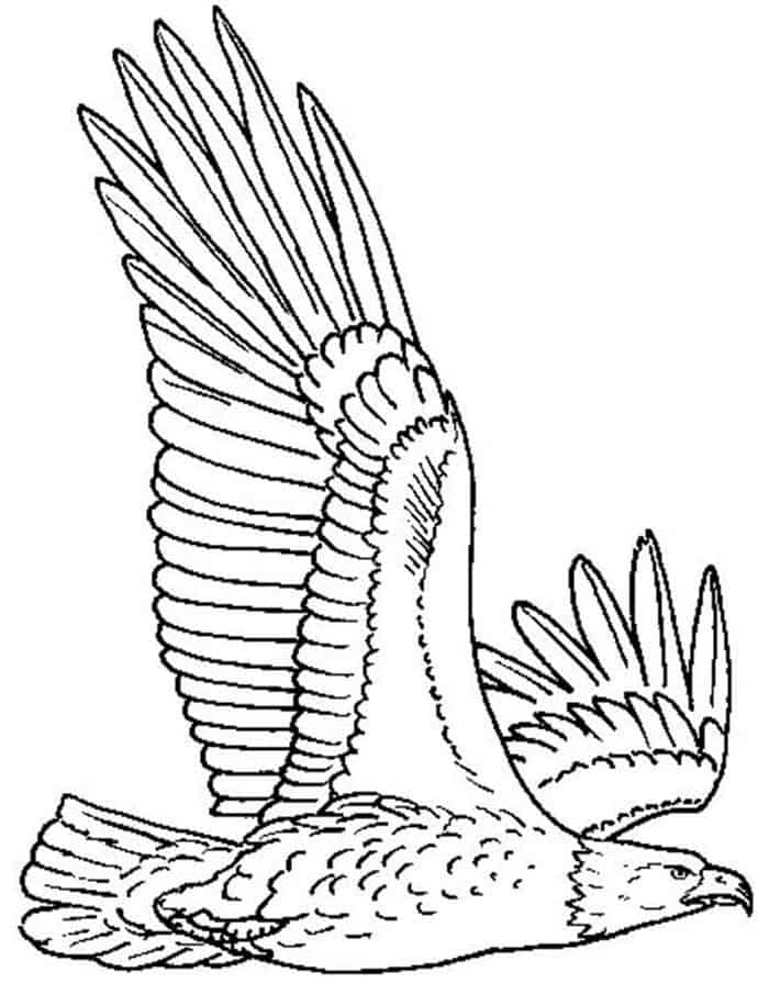 Free Eagle Coloring Pages